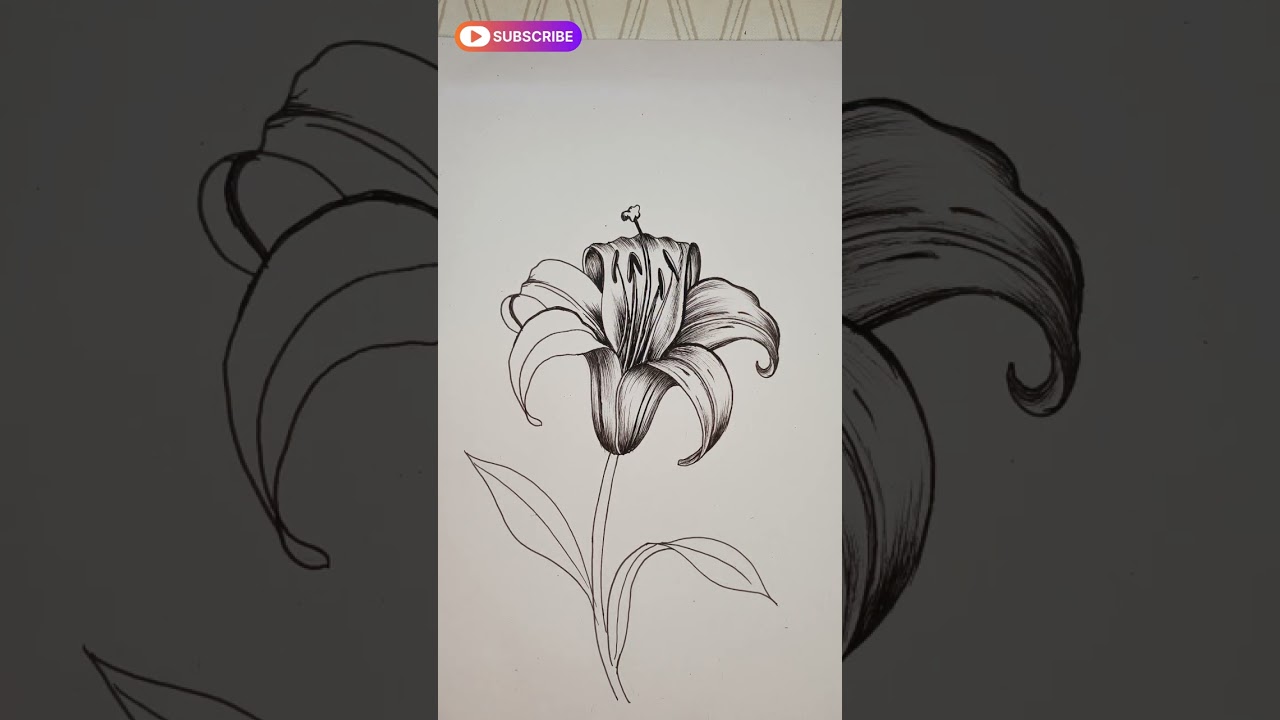 Lilly / Trumpet -shaped Bloom Flower Drawing for Beginners #art #drawing #flowers