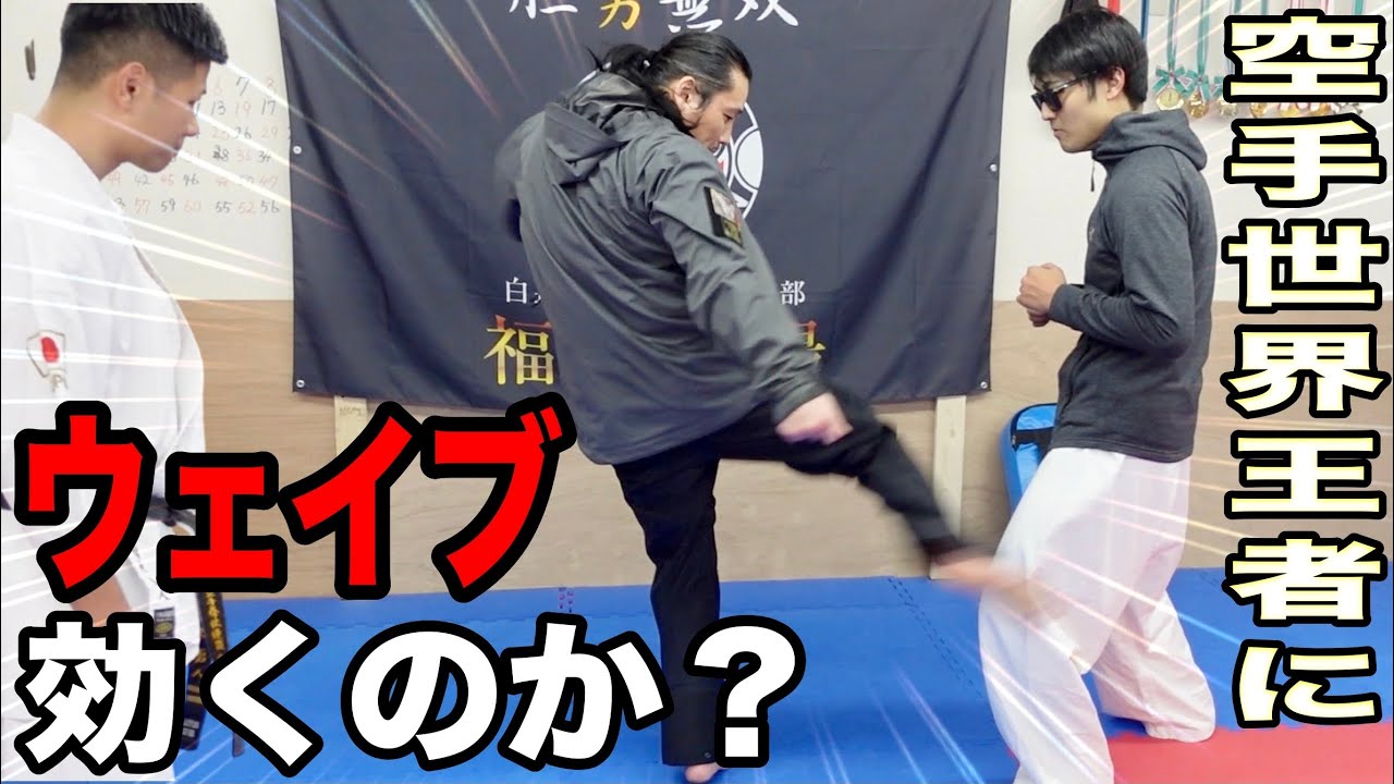 【ウェイブマスター】坂口拓さんのウェイブは【空手家】に効くのか？