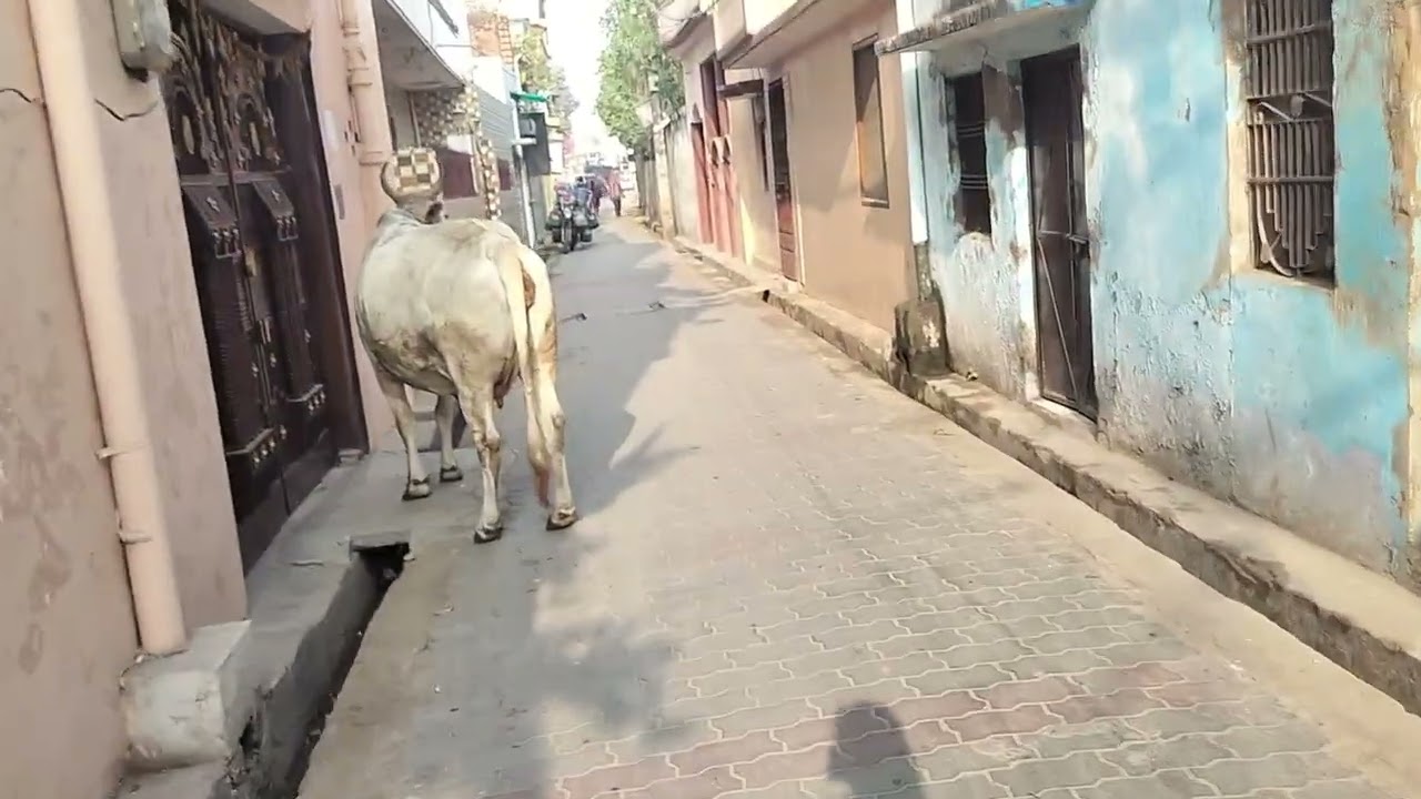Cycle se Yatra#vlog