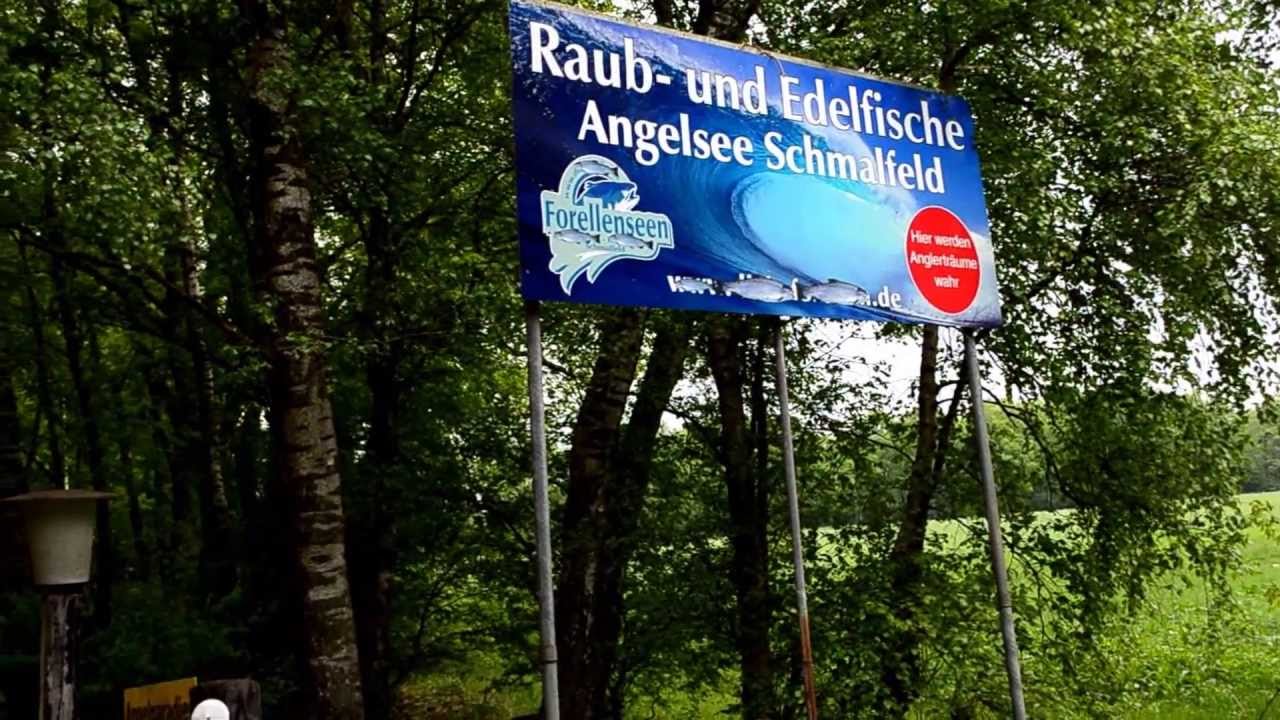 Raub- und Edelfischsee Schmalfeld - Das Angelerlebnis im Herzen von Schleswig-Holstein!