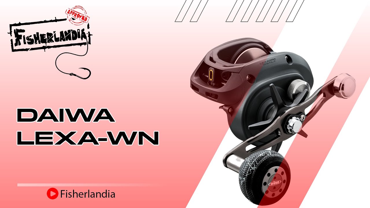 DAIWA LEXA WN - BAIT CASTING PESANTE