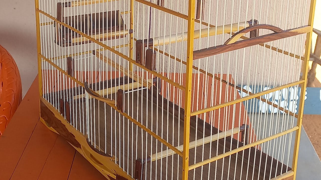 mais um do grupo de rifas uma 06 jacaranda violata com piquiar chama da uma fassa pro canal