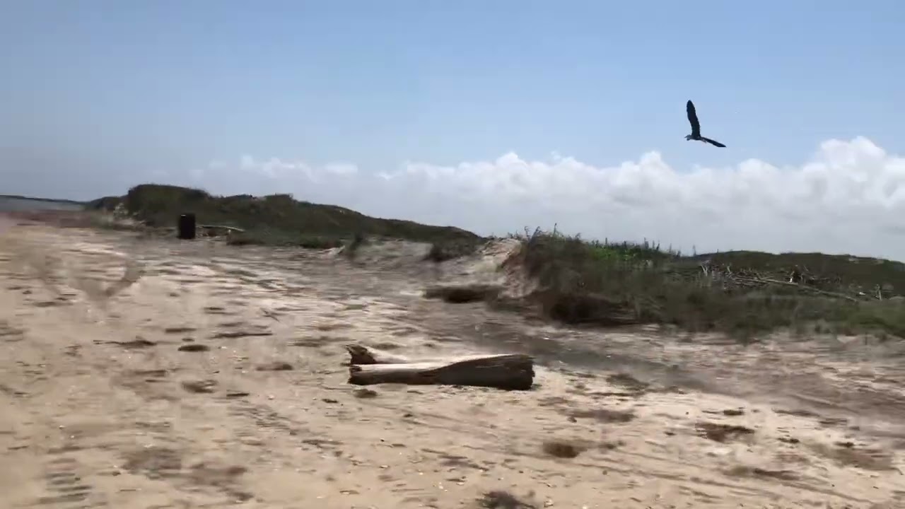 Boca Chica Beach, TX: Where The Rio Grande Meets the Gulf of Mexico.  SpaceX SN15 Cameo