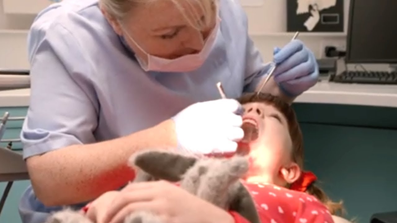 Tosia i Tymek po polsku | Wizyta u Dentysty | bajki dla dzieci po polsku | Topsy and Tim Polish