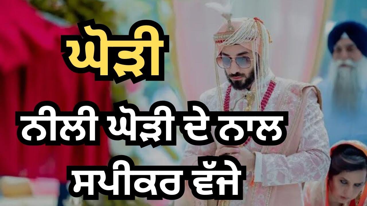 ਨੀਲੀ ਘੋੜੀ ਦੇ ਨਾਲ ਸਪੀਕਰ ਵੱਜੇ #ghoria #gidhasteps #sithniyan #ghoriya #lokgeet #mundedeviahdegeet