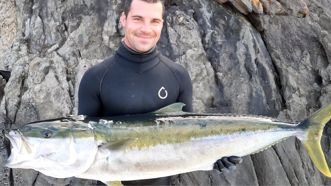 Spearfishing Kingfish NSW