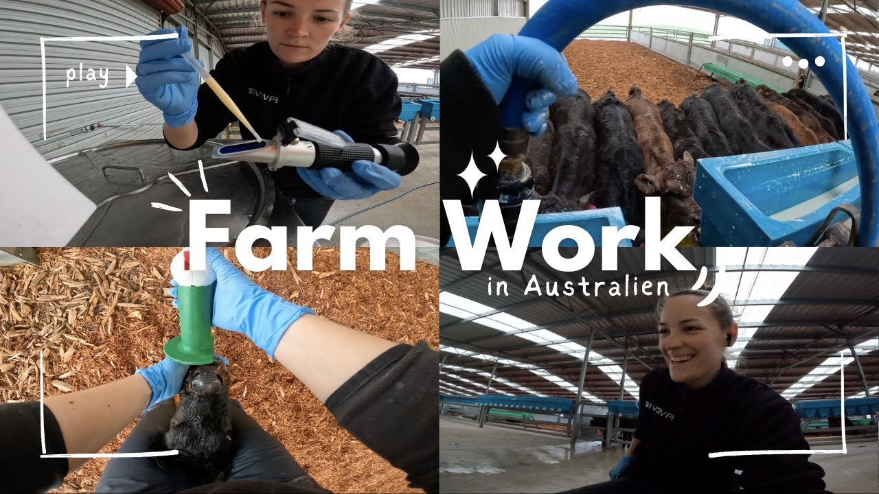 Work & Travel Australien - ein Farm Work Vlog / Sara Wood