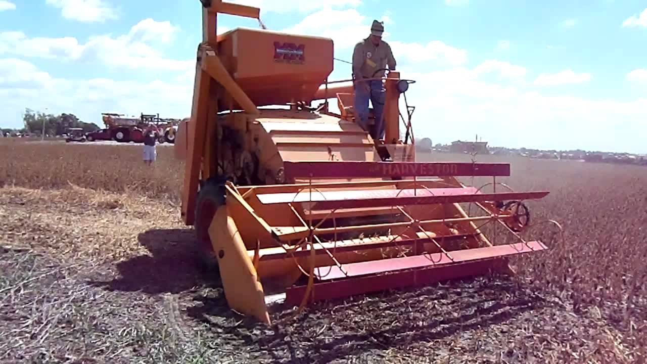 MM Cutting beans at the Half Century of Progress, Rantoul IL