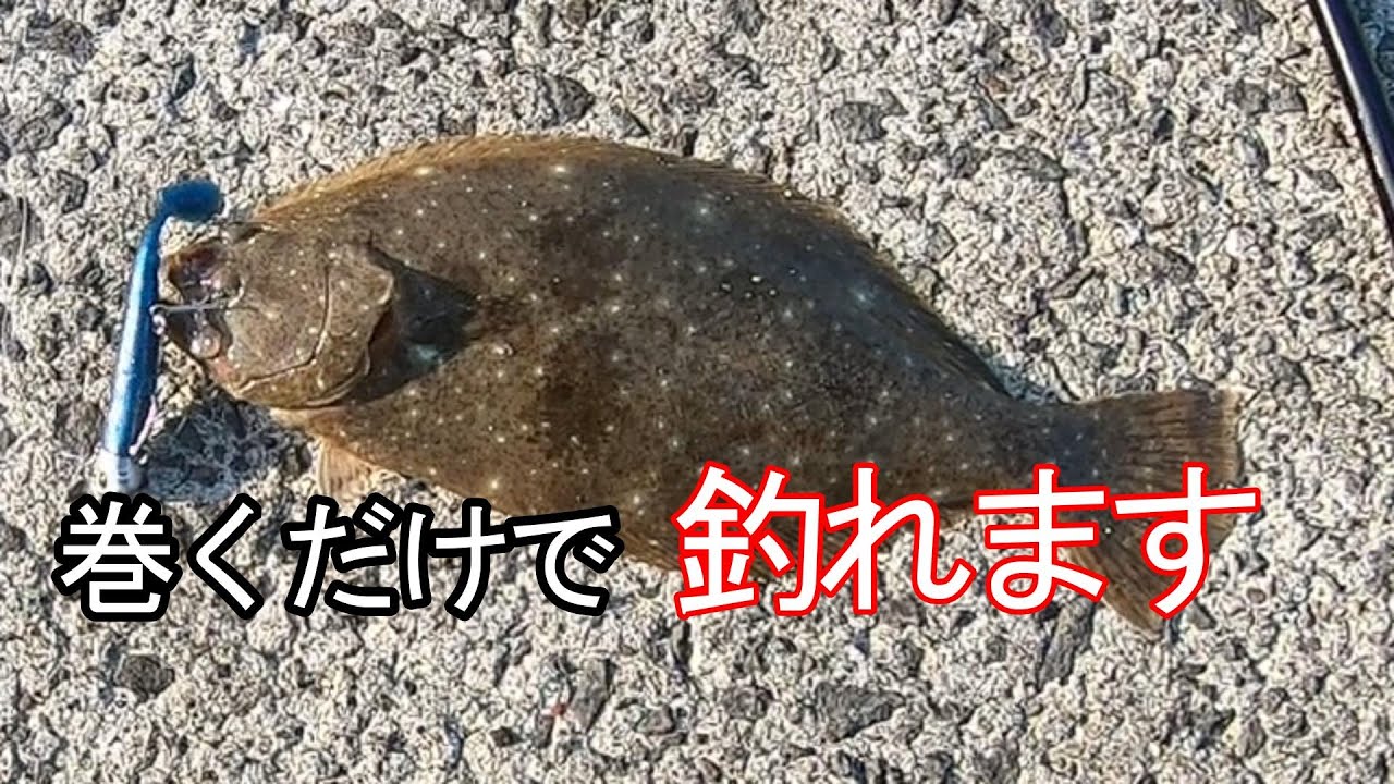 【ヒラメ】【マゴチ】巻くだけで釣れます ジグヘッドワーム【堤防】