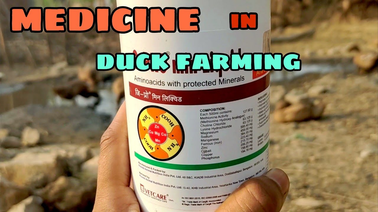 Duck farming 🦆#disease and treatment#medicine | medicine क्या दे