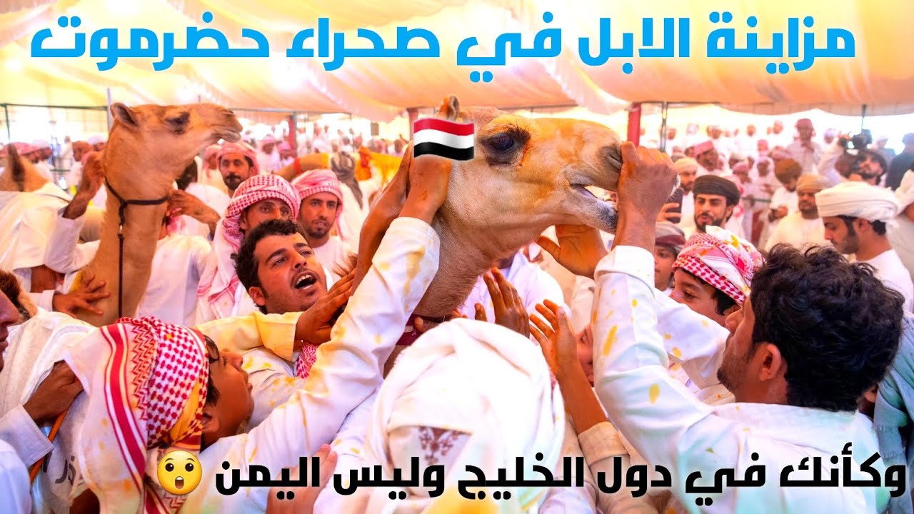 أول يوم في مزاينة فتخة عيوه في صحراء حضرموت اليمن