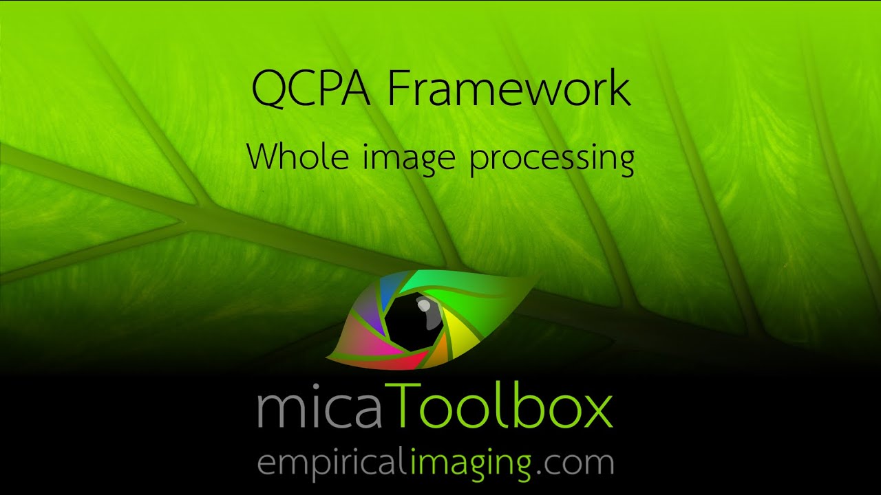 Example of the QCPA framework being used to process a whole image