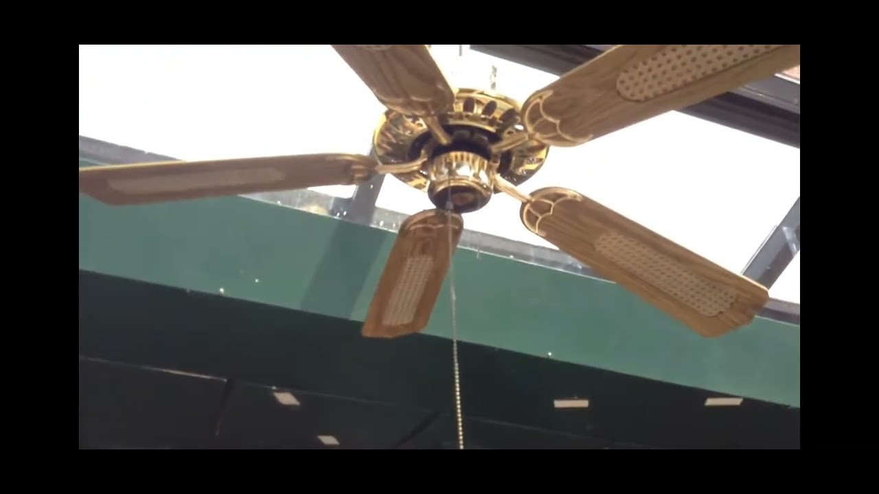  Fan