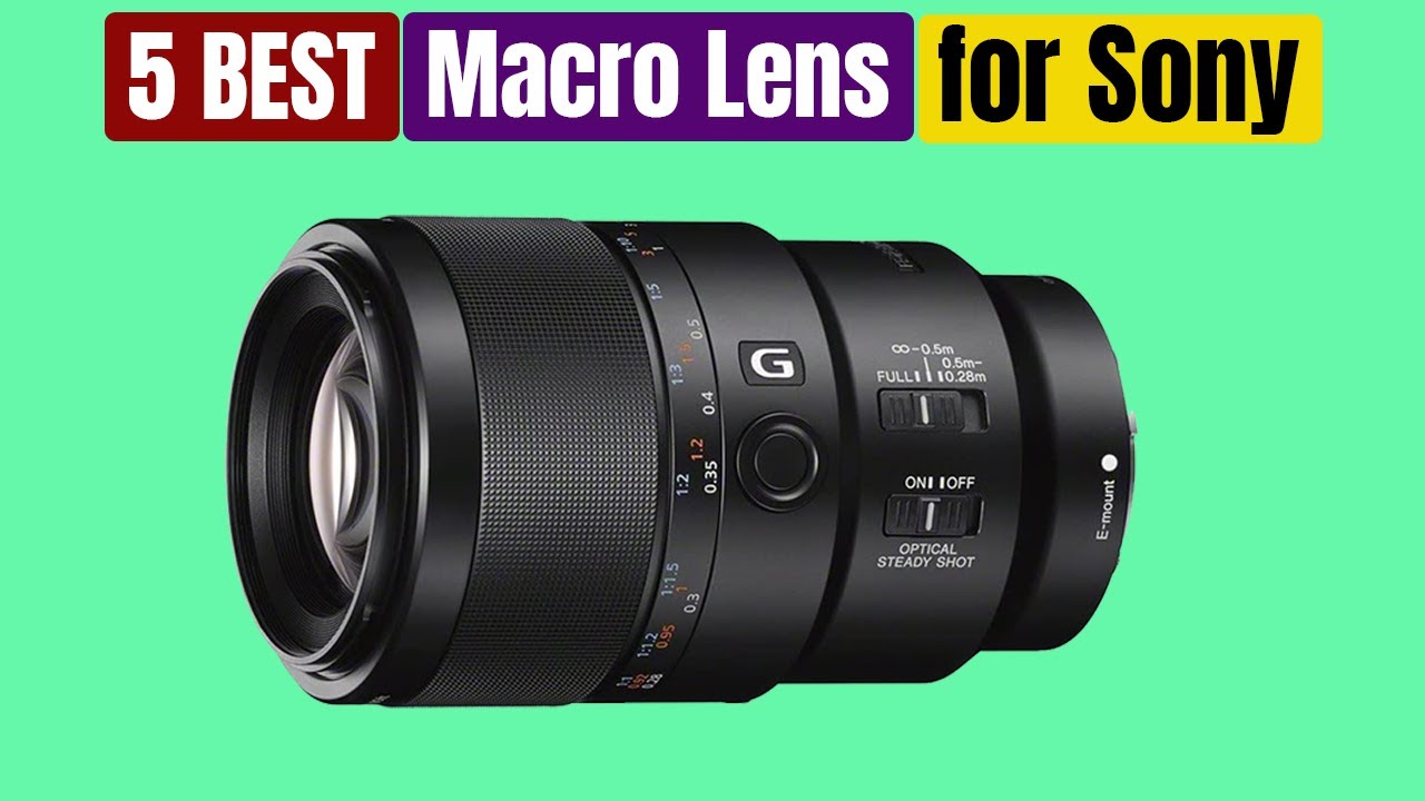 Best Macro Lenses for Sony of 2025 [Updated]