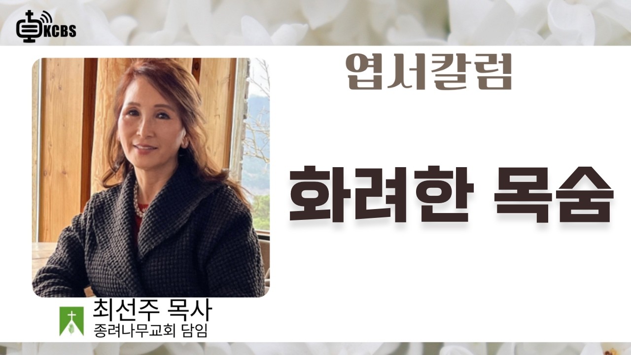 화려한 목숨｜오늘의 교훈｜최선주 목사의 엽서 칼럼 ｜ 