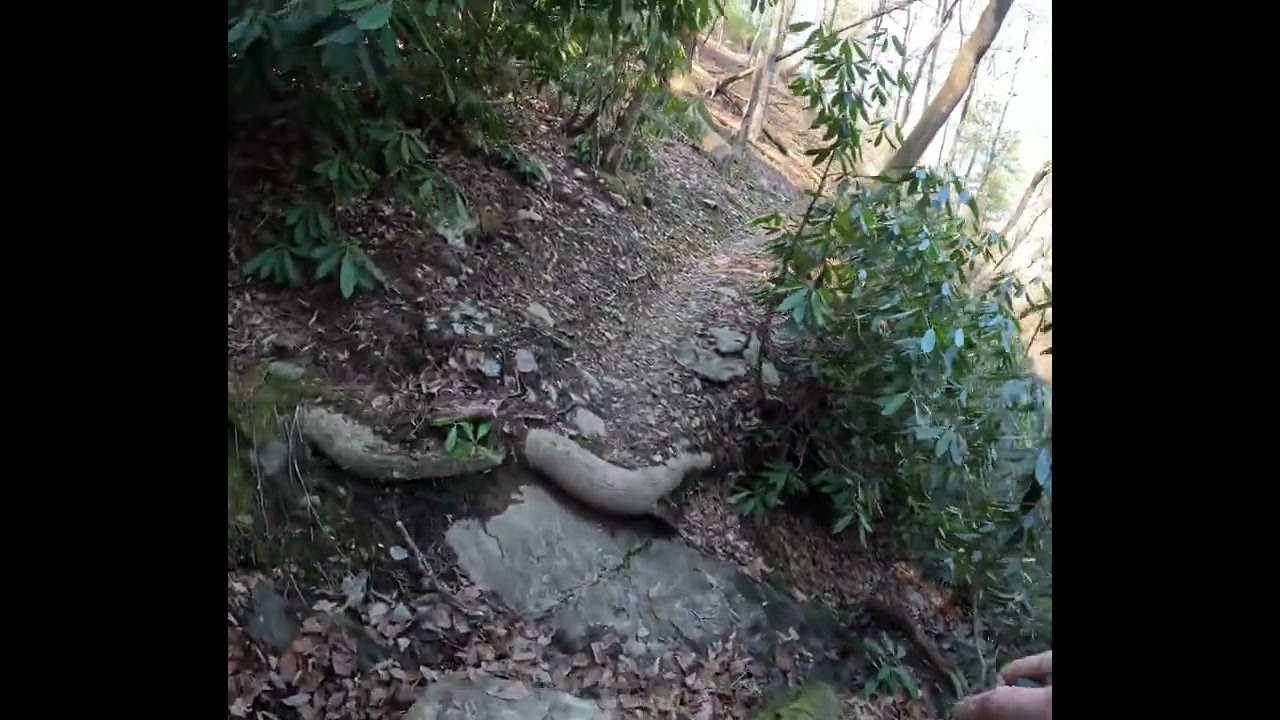 Leadmine-Linville Gorge Trail to Daffodil Flats.  #asmr #asmrvideo #dayhike #hiking  #asmroutdoors
