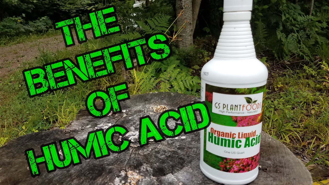 The Benefits of Humic Acid in your foodplots.