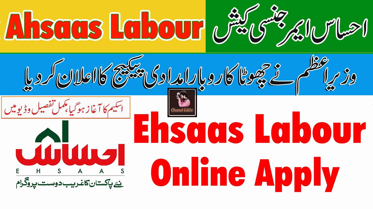 How to apply for Ehsaas Labour Program | Chota karobar Online Registration Form | PMO web portal