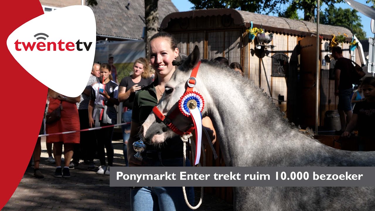 Paarden- en ponymarkt Enter trekt ruim 10.000 bezoekers - Twente FM