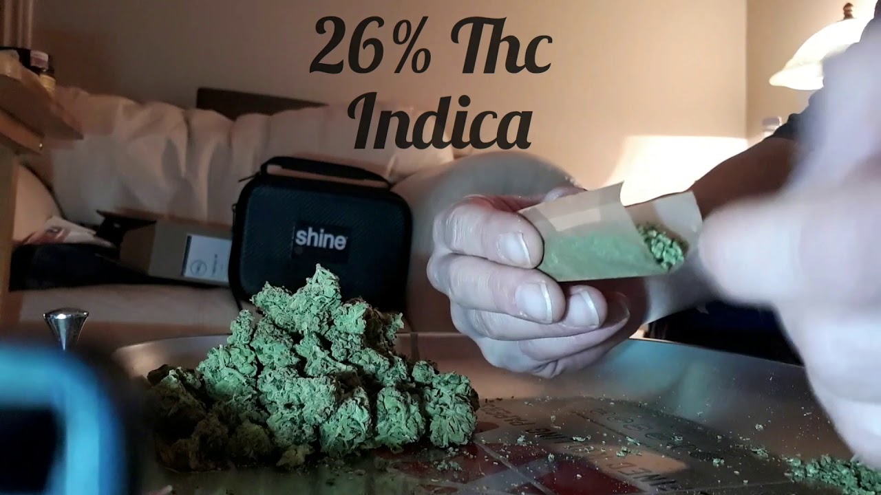Let's Roll A Big One!! #whitelightning #prerolls #marijuana