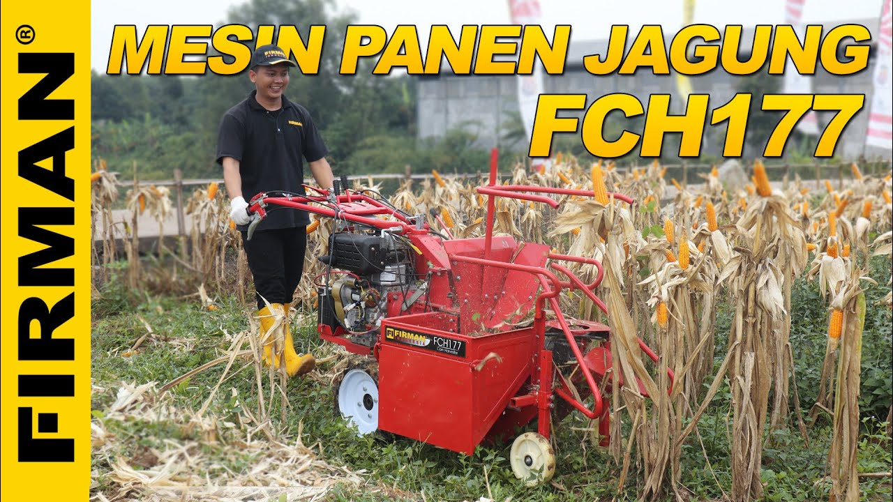 MESIN PANEN JAGUNG FIRMAN FCH177 | Panen 4x Lebih Cepat, Batang Jagung Langsung Hancur‼️