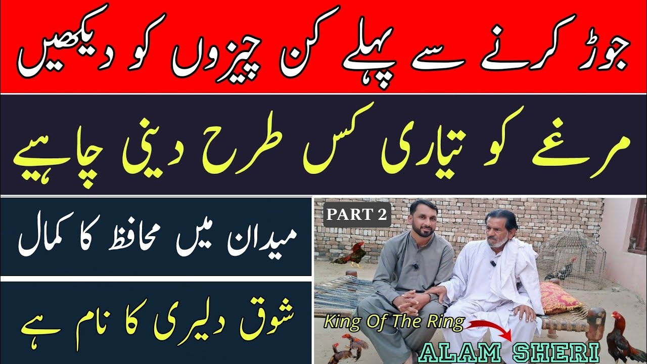 King Of The Ring Ustad Alam Sheri | Murga ka Jor Karne Ka Sahi Tarika | Aseel Information