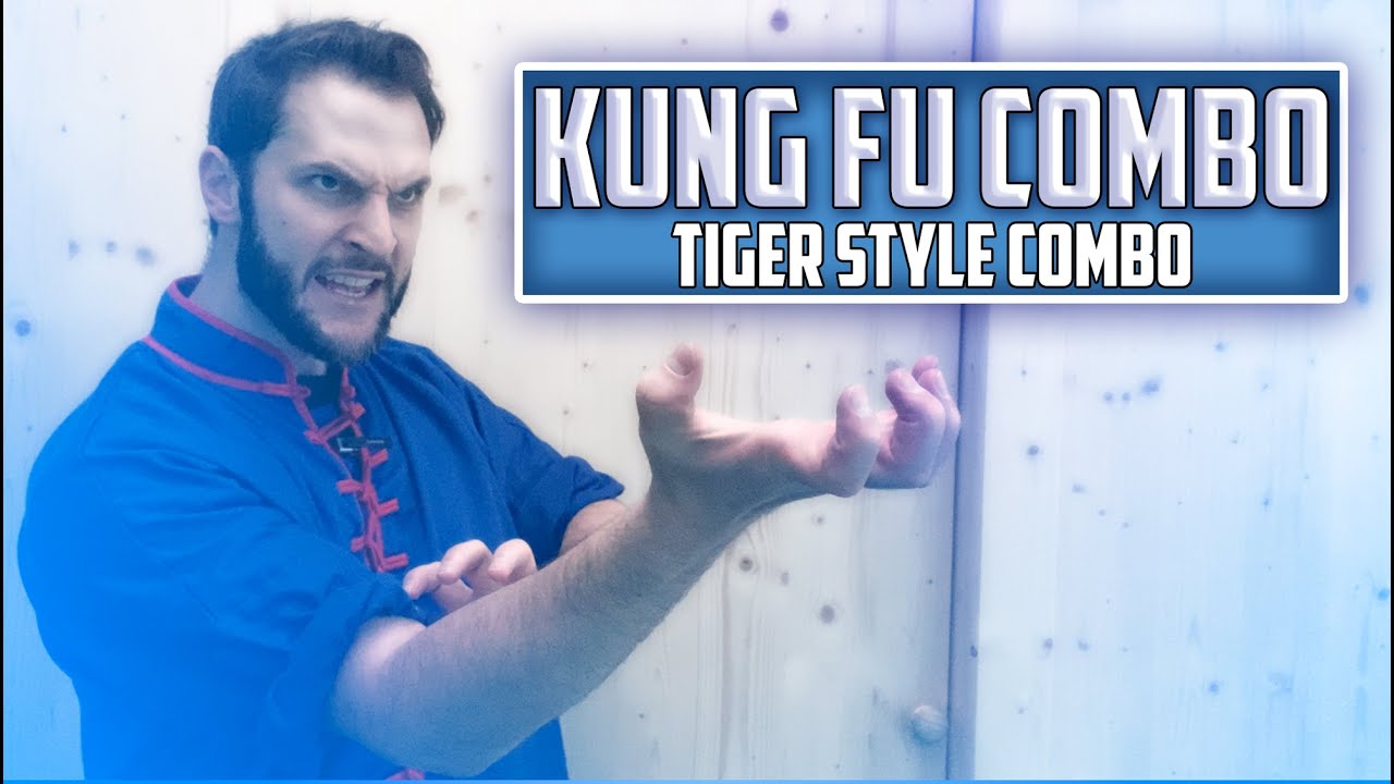 Kung Fu Combo - 🐯 Tiger Style Retreat to Jumping Kick 🐯