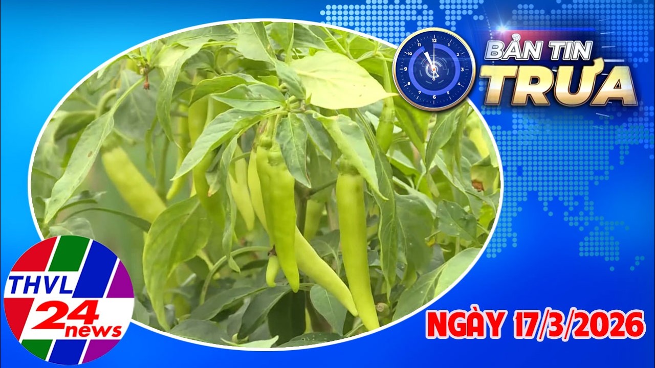 Bản Tin Trưa (11h00 – 17/3/2026)