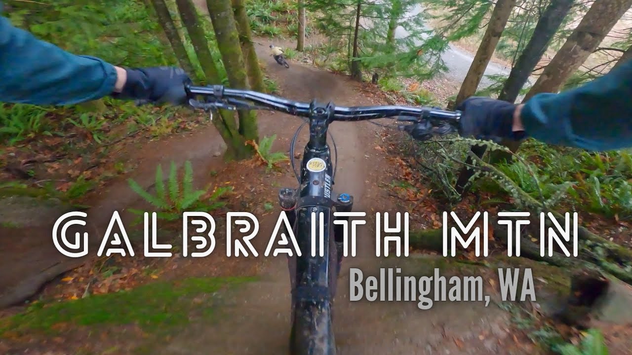 First day at Galbraith Mtn in Bellingham, WA - Cedar Dust Jumplines and SST!