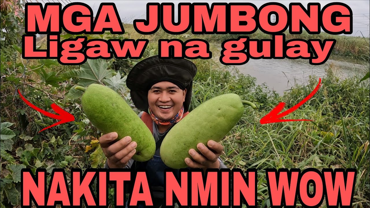 Subrang jackpot sa spot na ito, libreng gulay at isda ang lalaki pa,. WOW