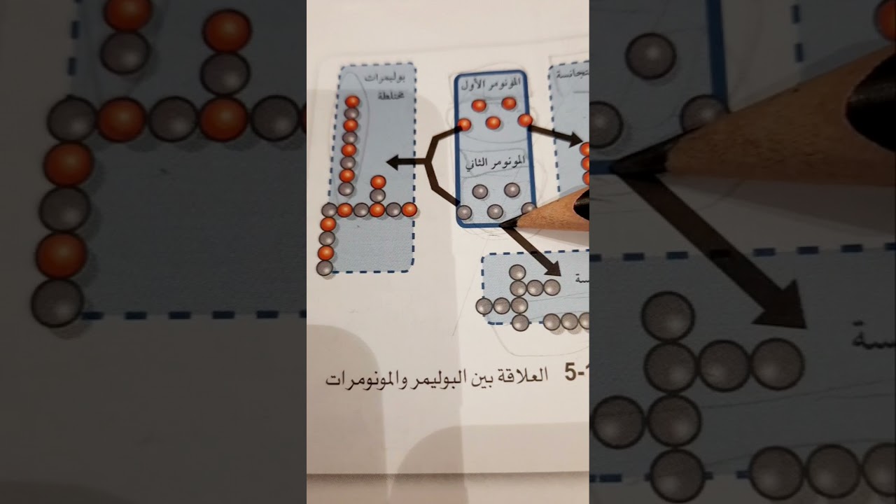 البوليمرات  كيمياء ٣ (الملخص في الوصف )