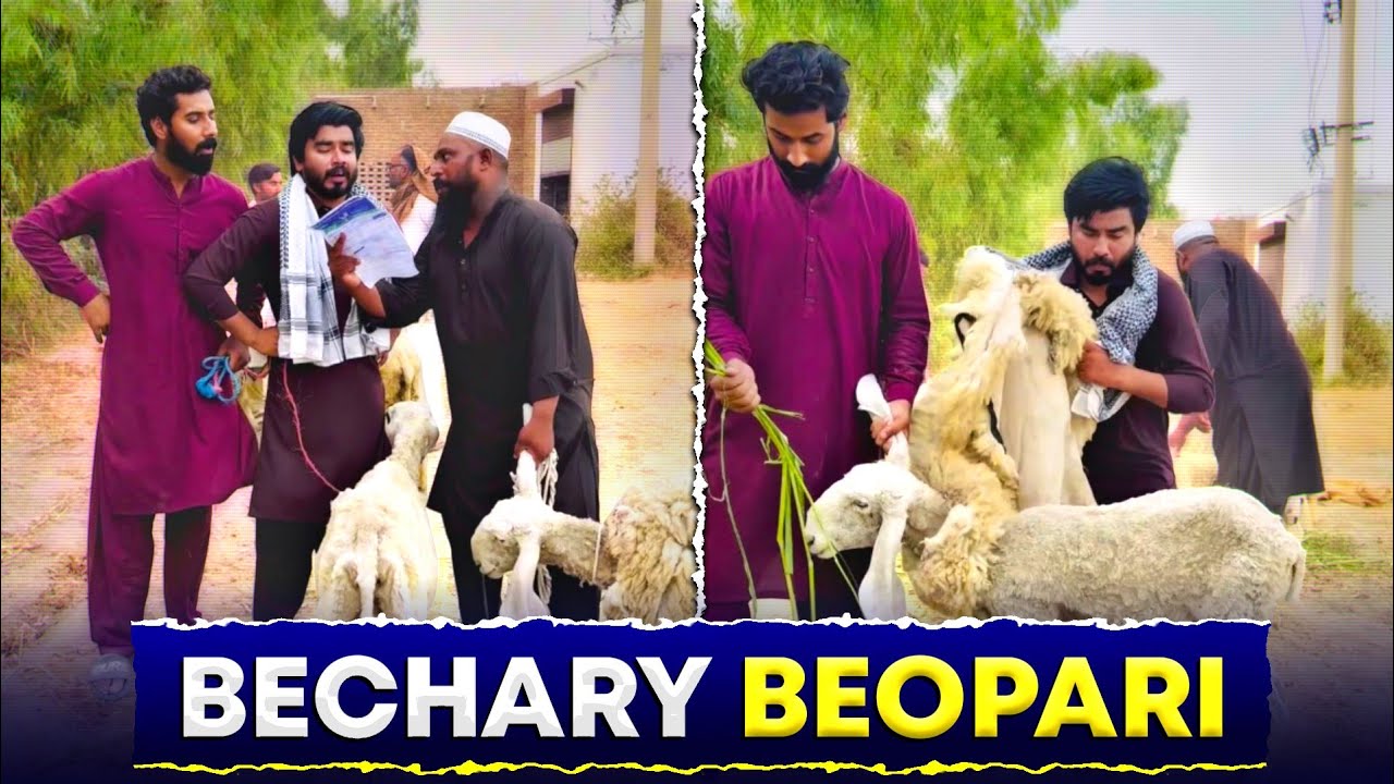 Bechary Beopari Hushiyar Ban Rhy Thy 😂