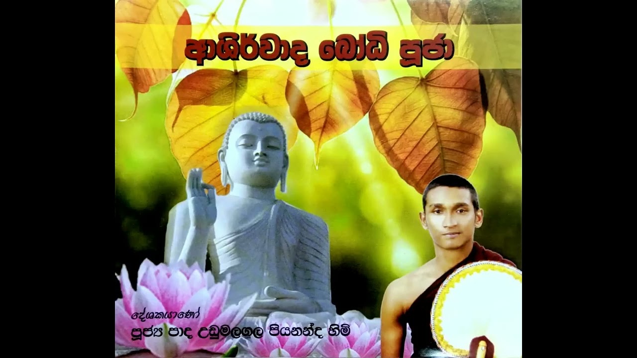 Ashirwada Bodhi Puja    ආශිර්වාද බෝධි පුජා