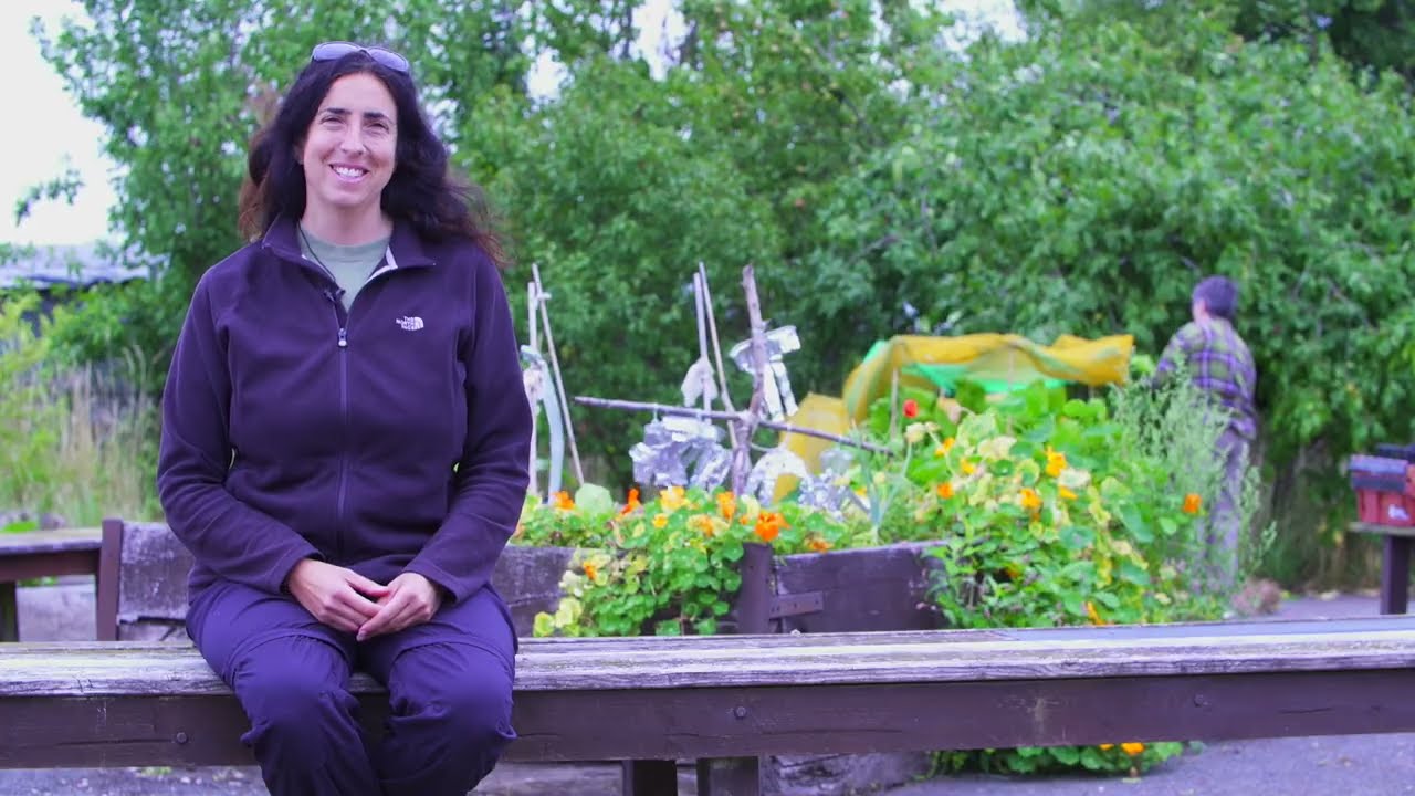 The Green Heart of Birmingham: Celebrating Our Open Spaces Volunteers