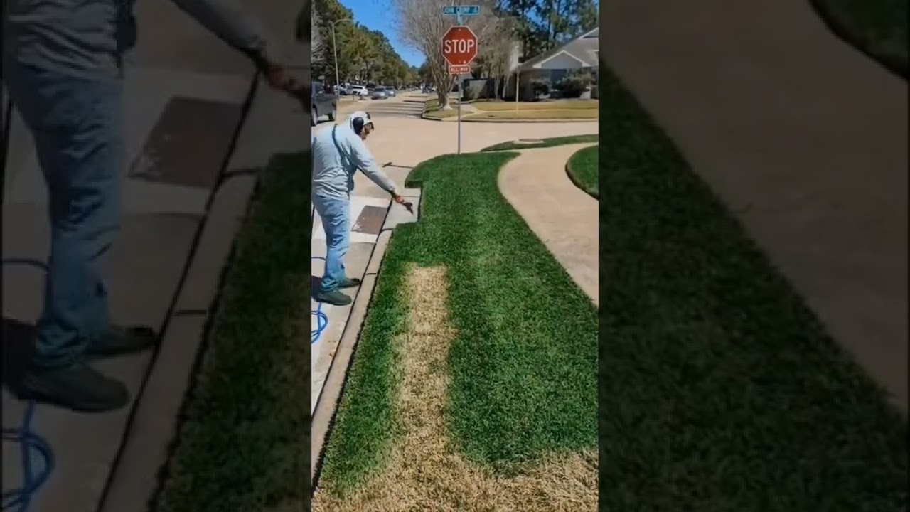 Pintura de grama