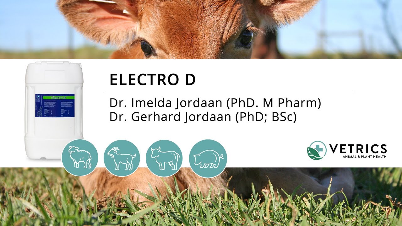 Dieregesondheid: Electro D - 1 Minuut (Afrikaans)