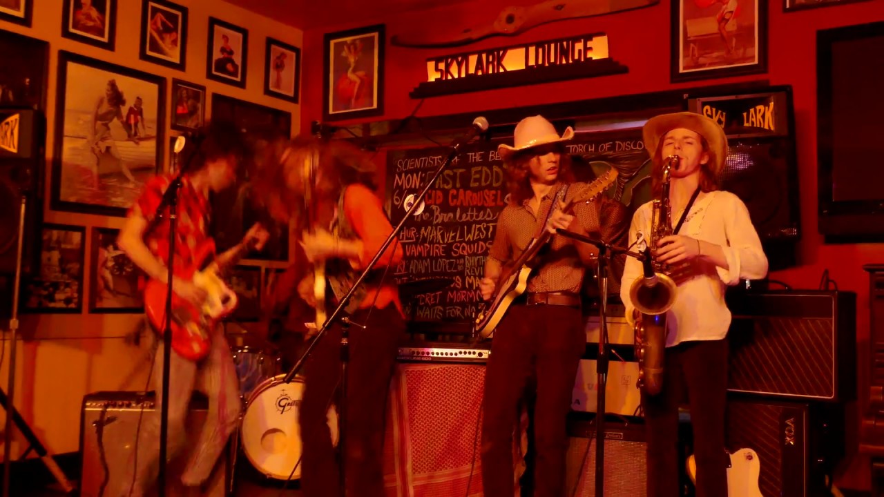 Acid Carousel at the Skylark Lounge on June 11th, 2018