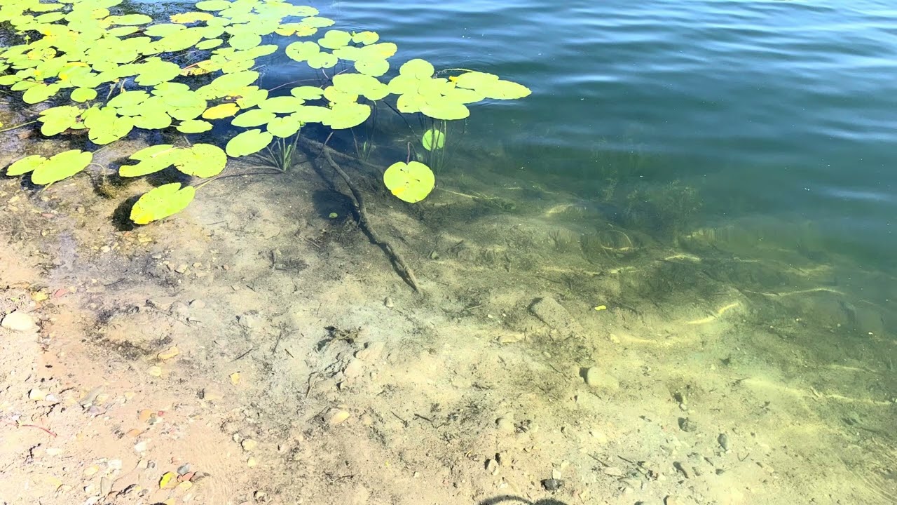 de ganzenkuil 2025 weekend sessie 