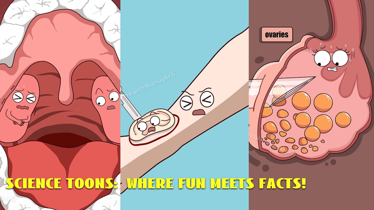 A collection of fun science animations#funny #animatin #health #video 