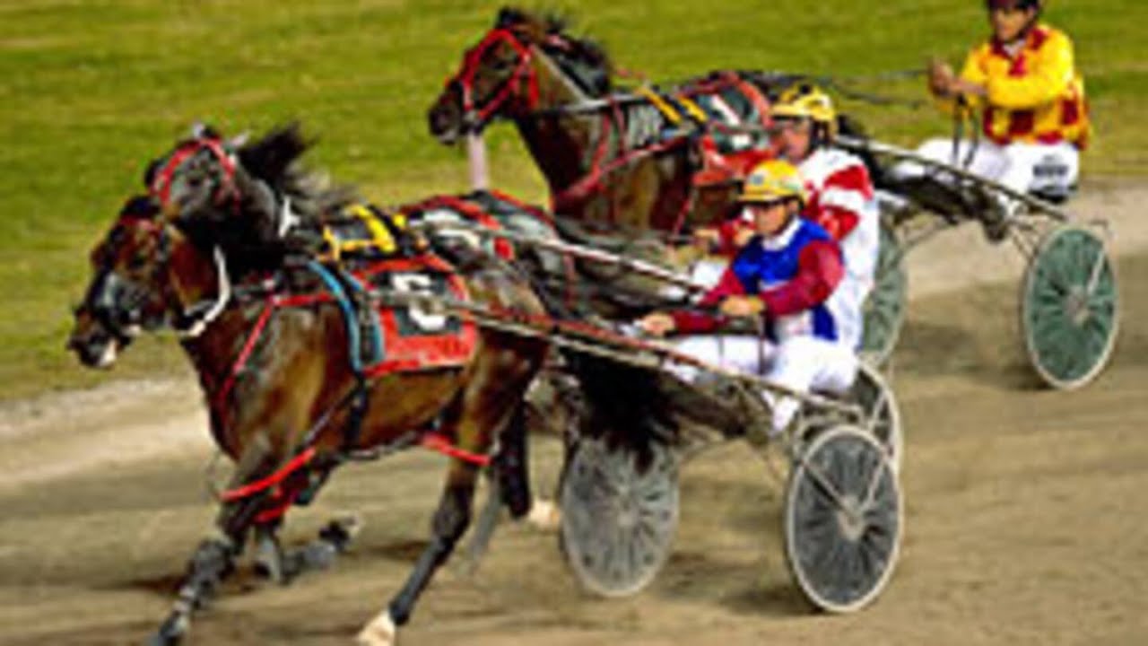 2007 Northern Derby 3YO C&G 2700M Alexandra Park New Zealand : Changeover (2:02:2)