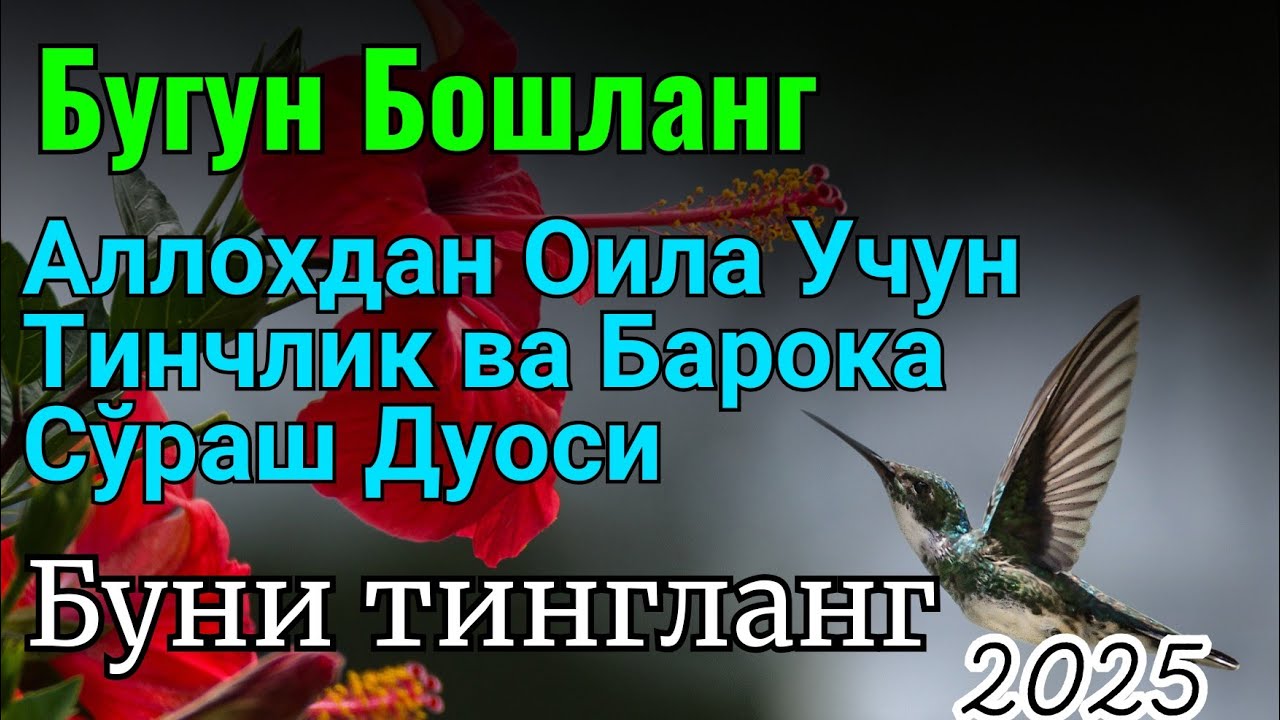Эрта тонгда ихлос билан тингланг Ризқ Эшиклари Очилади иншаоллоҳ