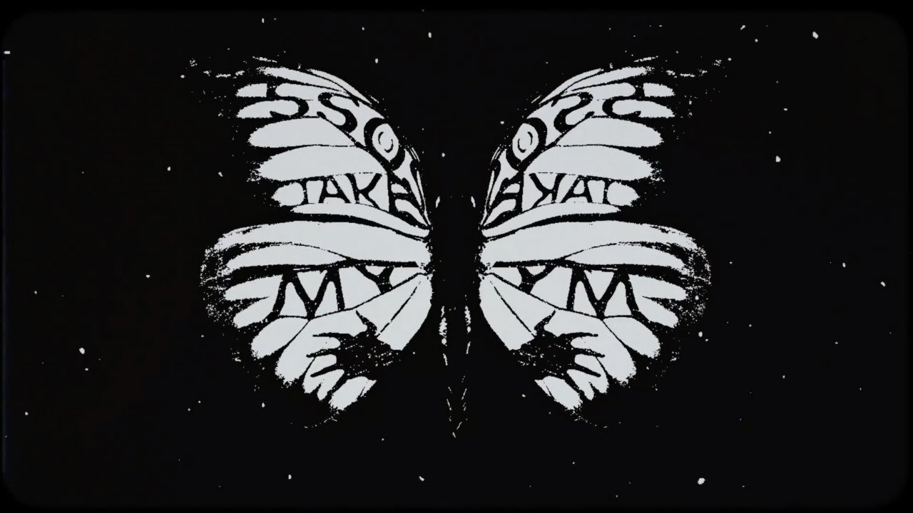 5 Seconds of Summer - Take My Hand (Official Visualizer)