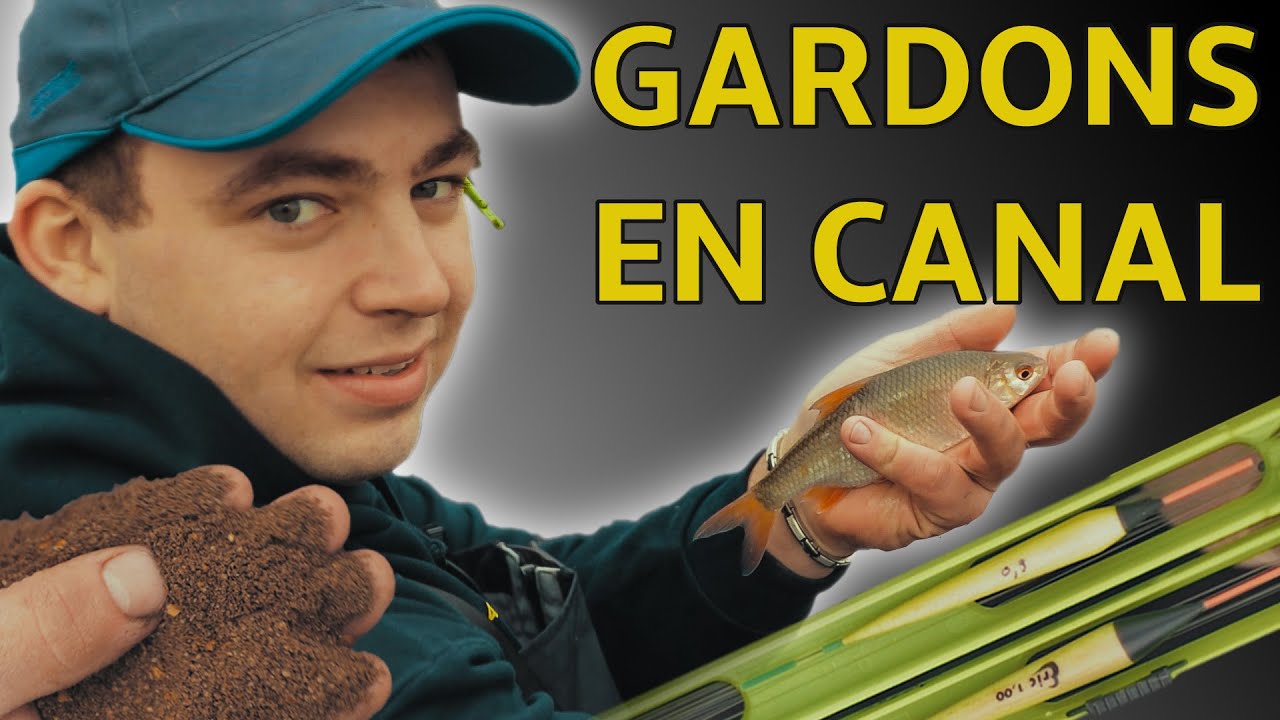 P&ecirc;che de gardons au canal de la Somme - 5min extraits netpeche magazine 8