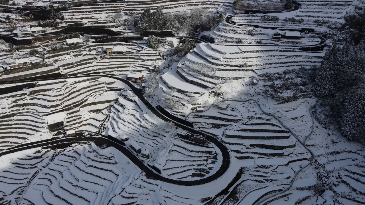 Maruyama Senmaida, Mie, Japan