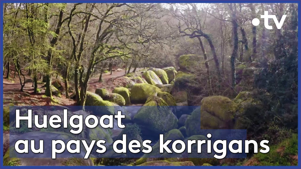 Bretagne : la forêt des korrigans