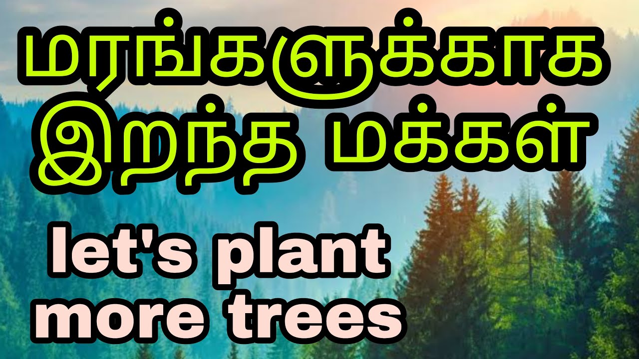 Historic ecological movement😱 | Bishnoi movement | India | Plant trees and save earth