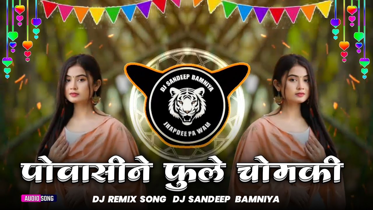 पोवासीन फुले चमकी रोयो_bhagoriya_ka_remix song 2026  आदिवासी सॉन्ग premsingh ALAVE  dj sandeep 