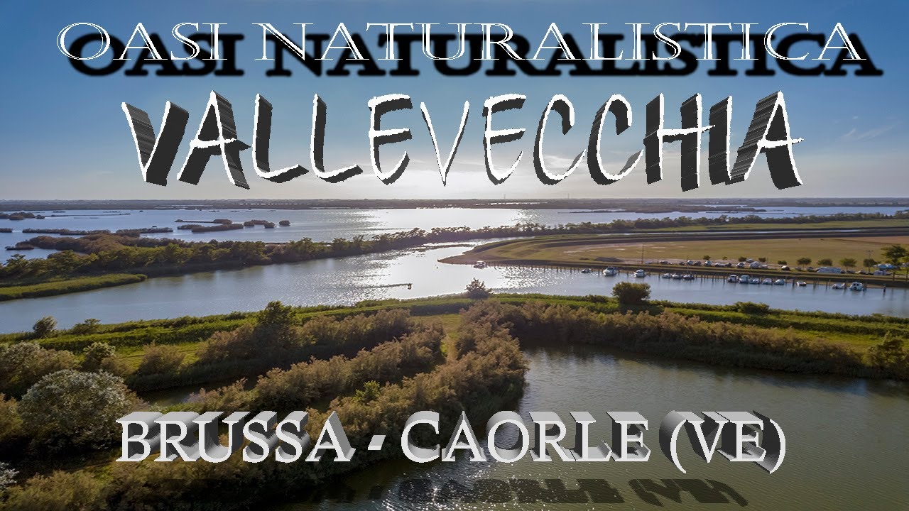 Vallevecchia - Brussa/Caorle (VE) - 4k