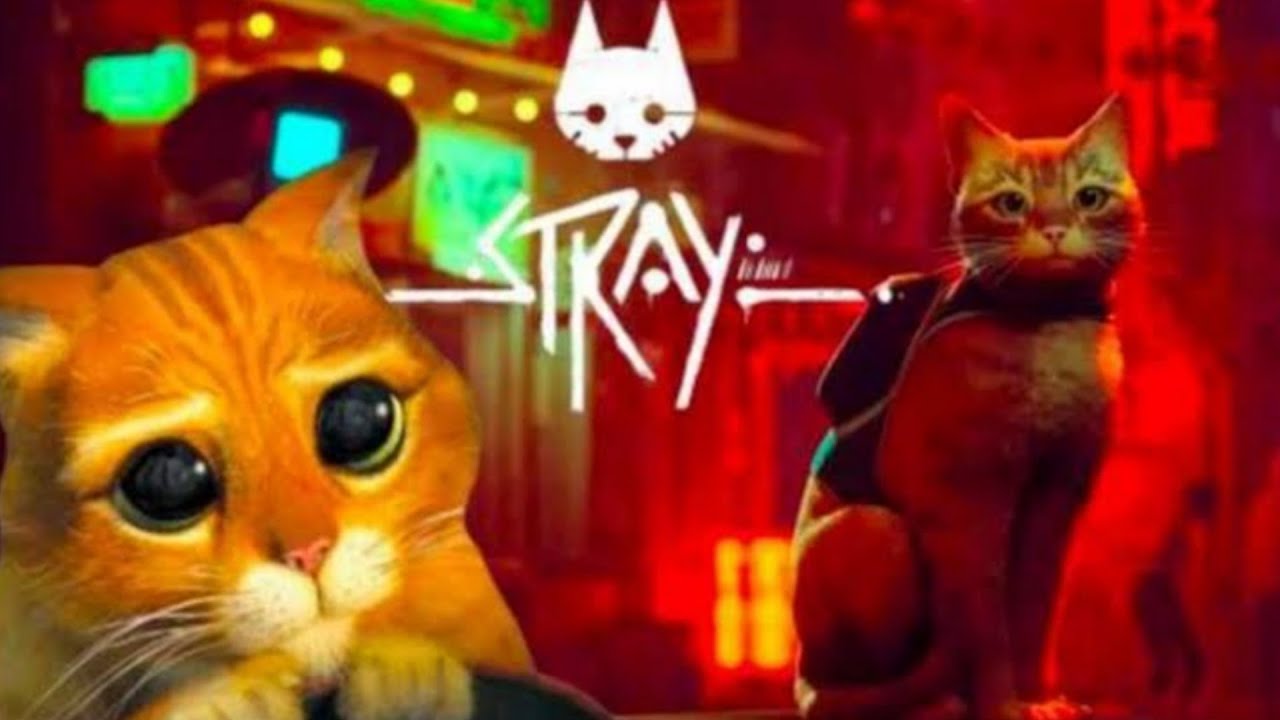 Stray تجربة لعبة القطة الضائعة