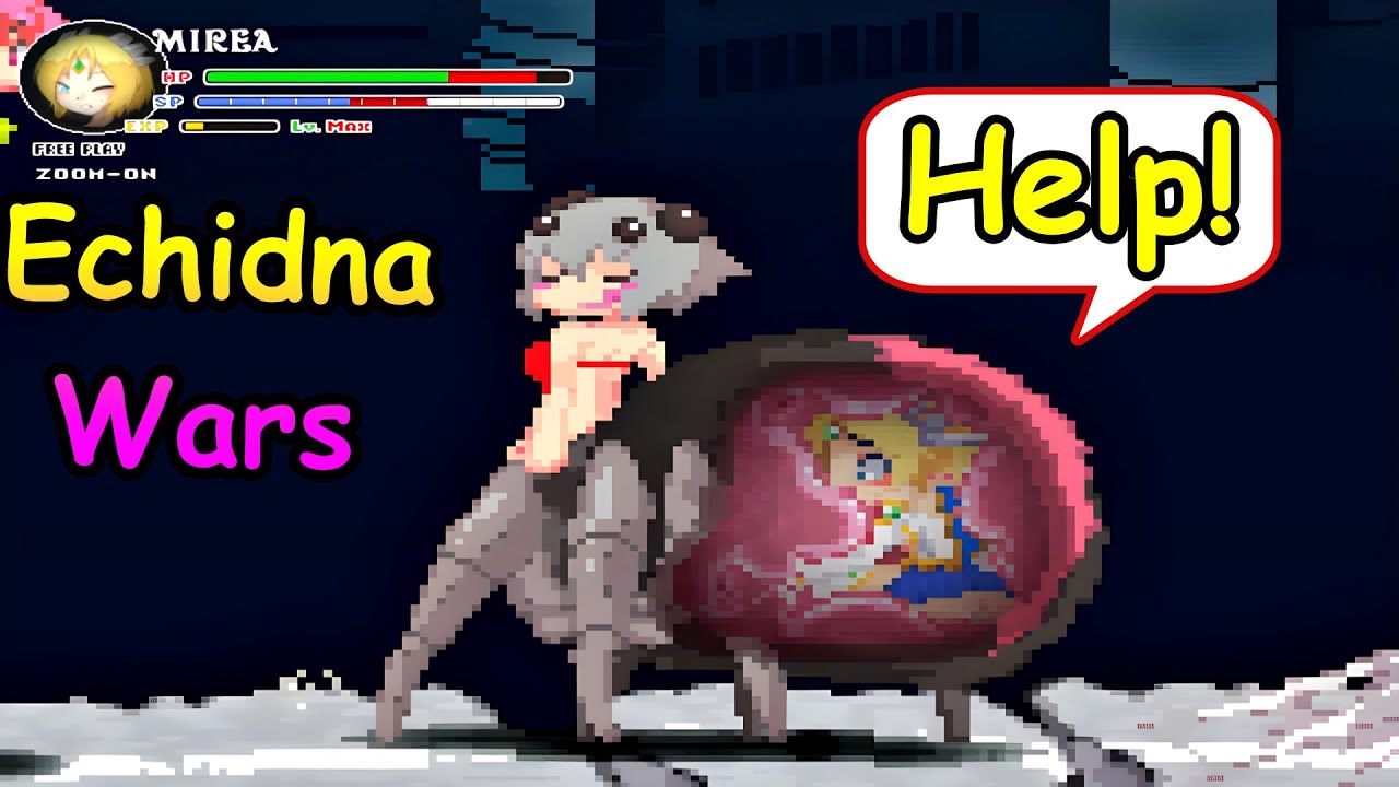 Echidna Wars Dx With Mirea